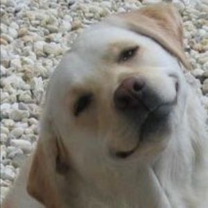 Meet your Posher, Ania